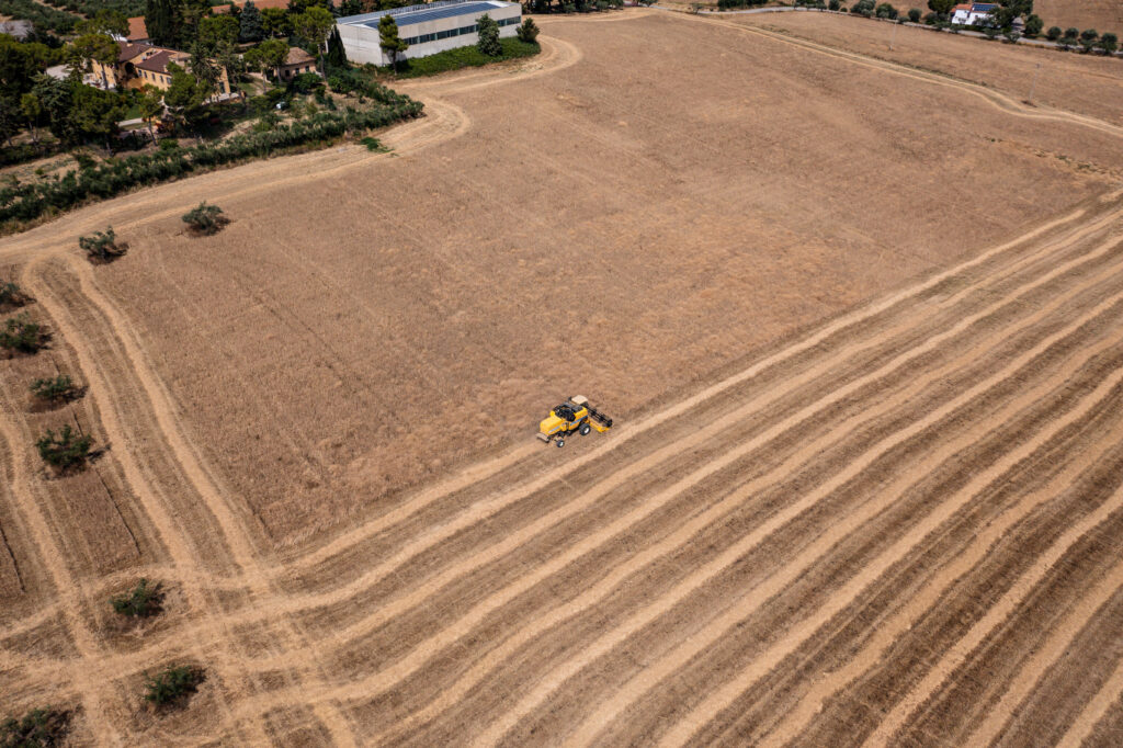 Verrigni – Suà Pastità