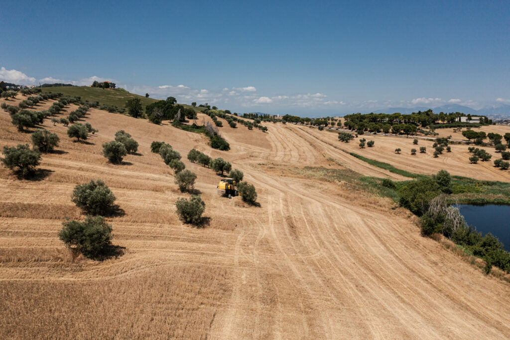 Verrigni – Suà Pastità