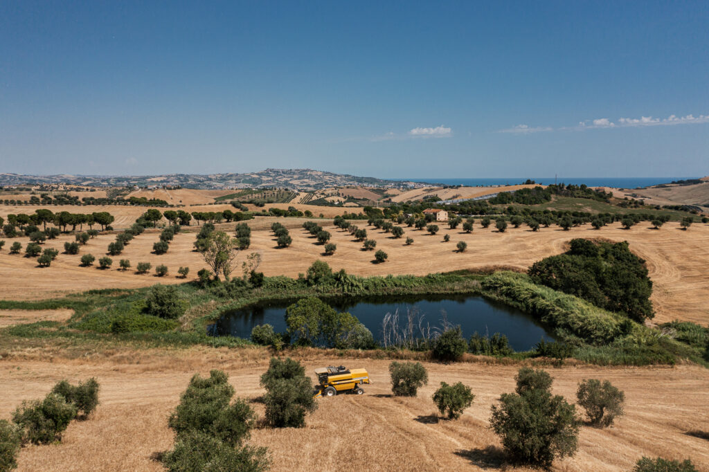 Verrigni – Suà Pastità